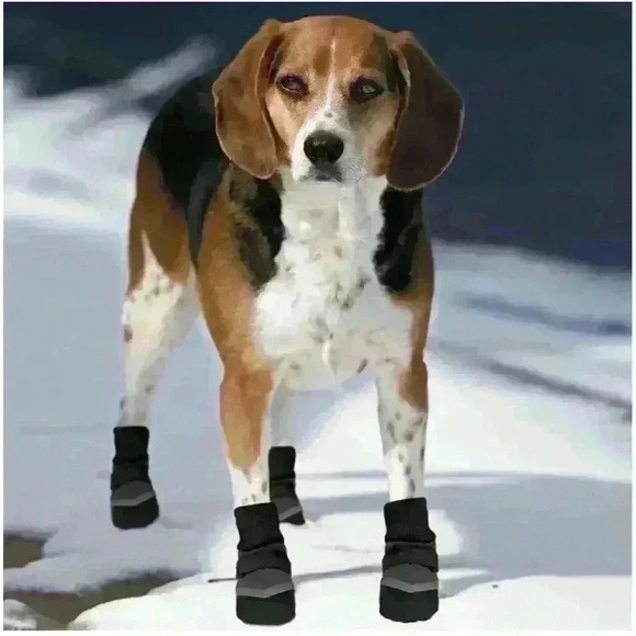 ✨Host Pick✨ 2/$25 BNWT SPOT Extreme All Weather Medium Dog Boots, 4-Pack Black - Picture 1 of 10